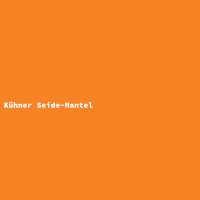 Kühner Seide-Mantel