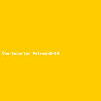 Überteuerter Polyamid-BH